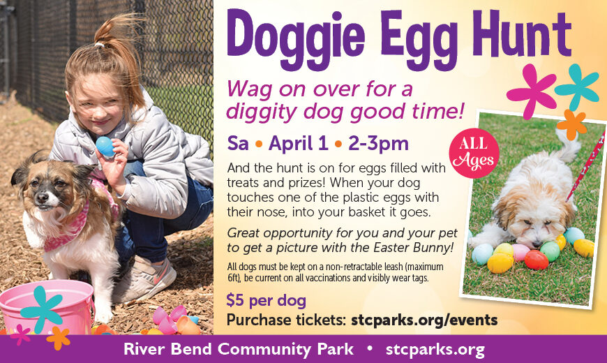 Doggie Egg Hunt