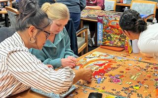 Puzzle Palooza