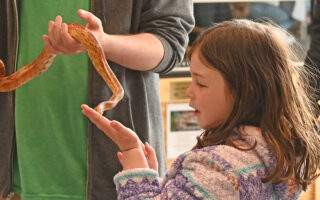 Friendly Snake Encounter