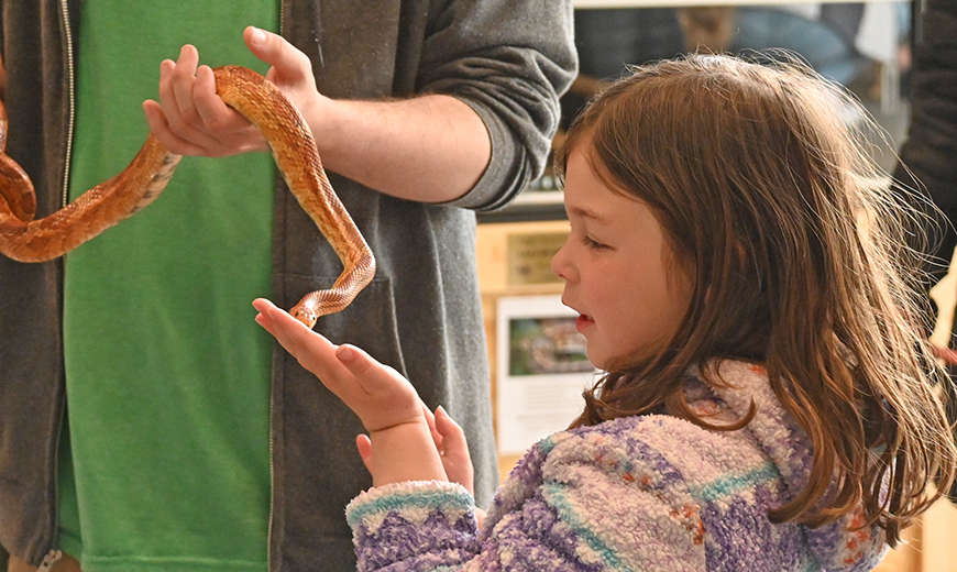 Friendly Snake Encounter