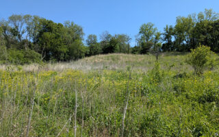 's-prairie 's-prairie