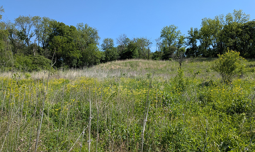 's-prairie