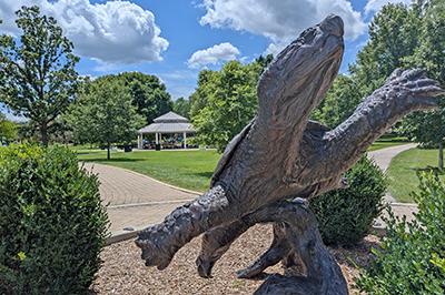 Sculpture of Turtle
